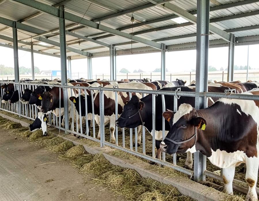 National Veterinary Prescription System (NVPS) Course